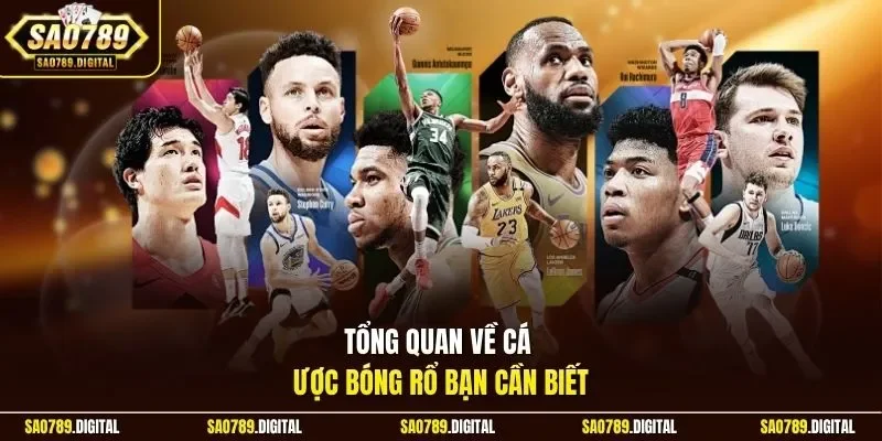 Tổng quan về cá cược bóng rổ bạn cần biết